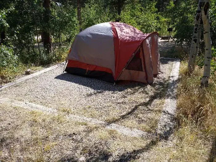 Olive Ridge — OLIVE RIDGERedTent
