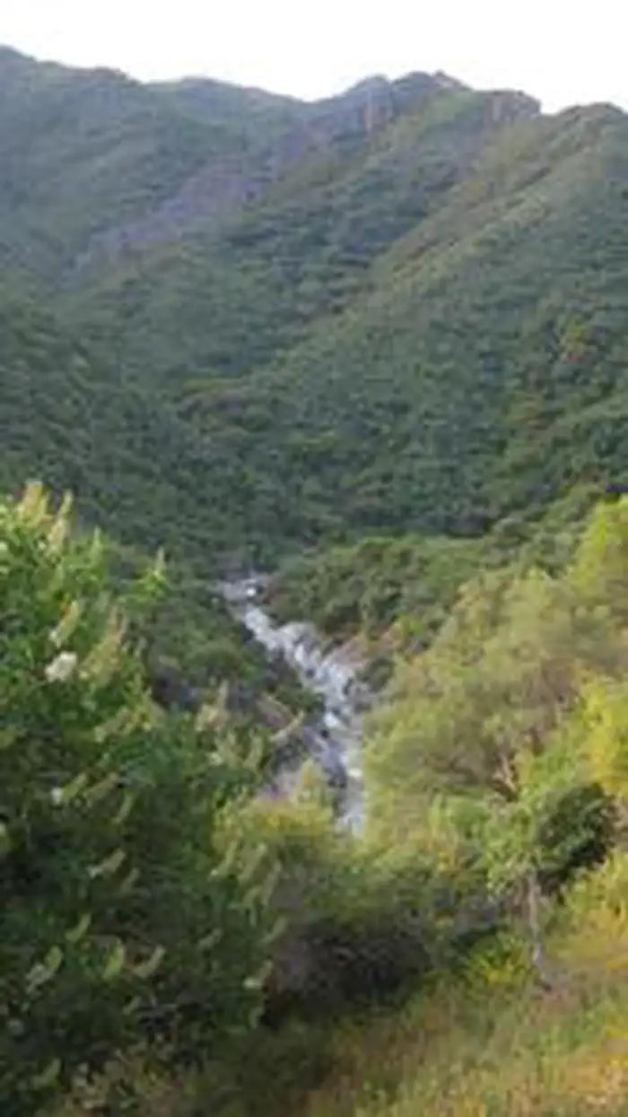 Buckeye Flat Campground — BUCKEYE FLAT CAMPGROUND