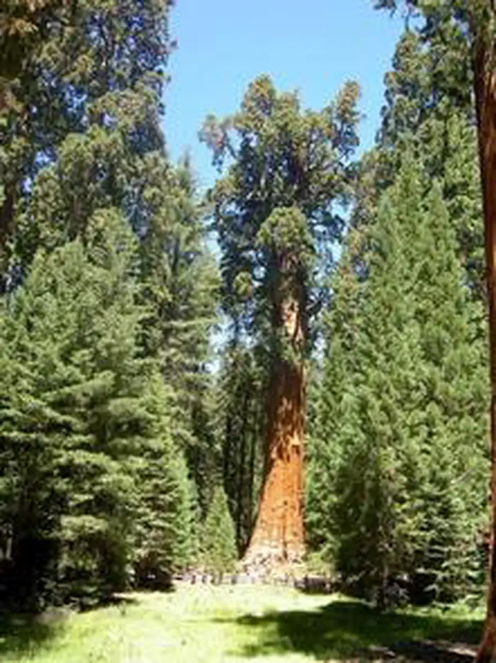 Buckeye Flat Campground — BUCKEYE FLAT CAMPGROUND