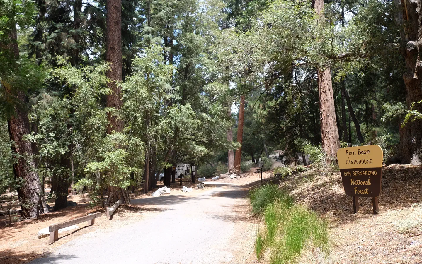 Fern Basin Campground — Roadway with Fern Basin Campground sign.
