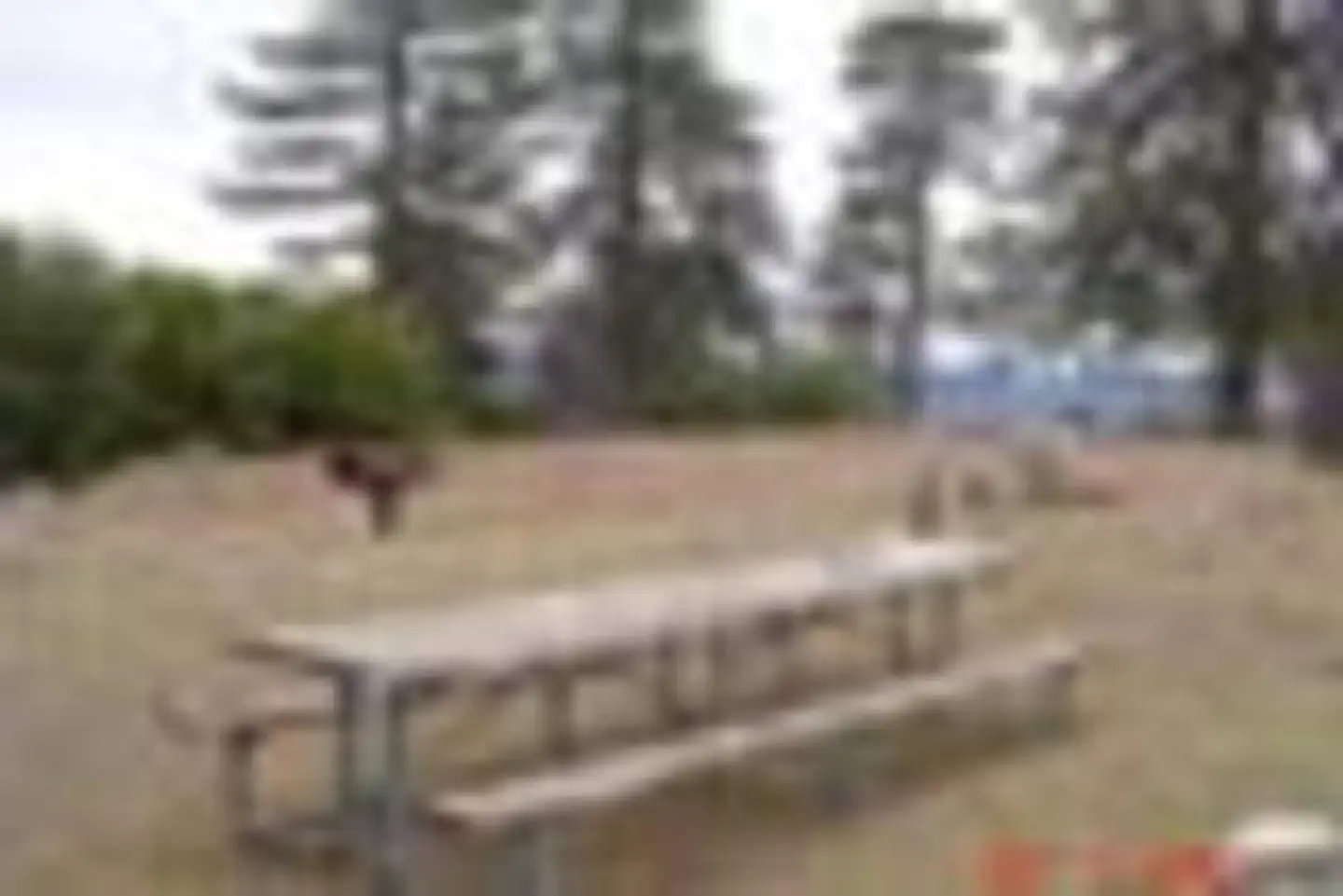 Lightning Point Group Campground — LIGHTNING POINT GROUP CAMPGROUND