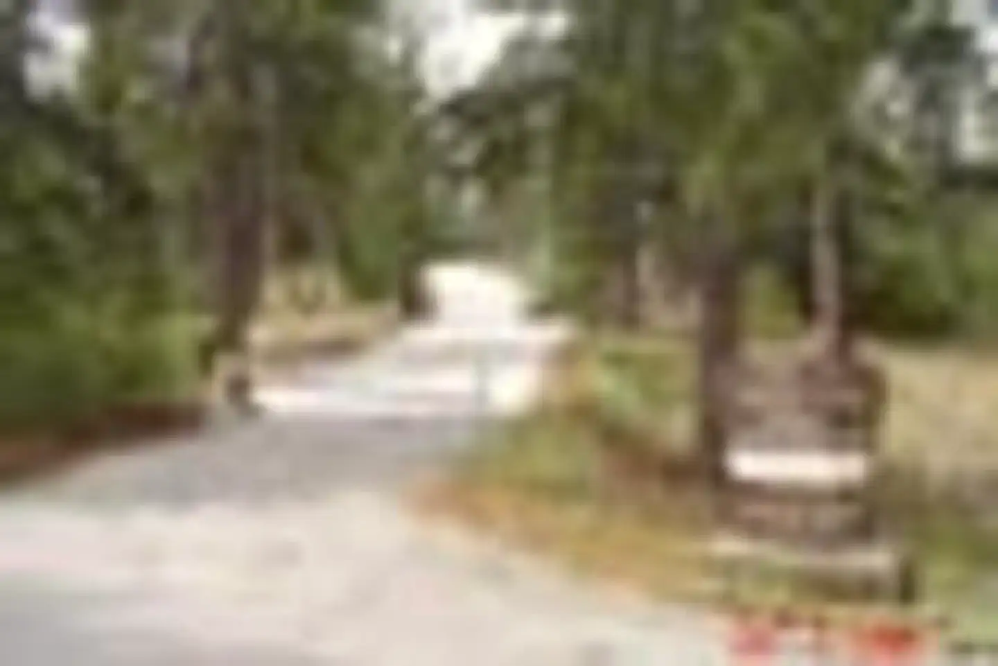 Lightning Point Group Campground