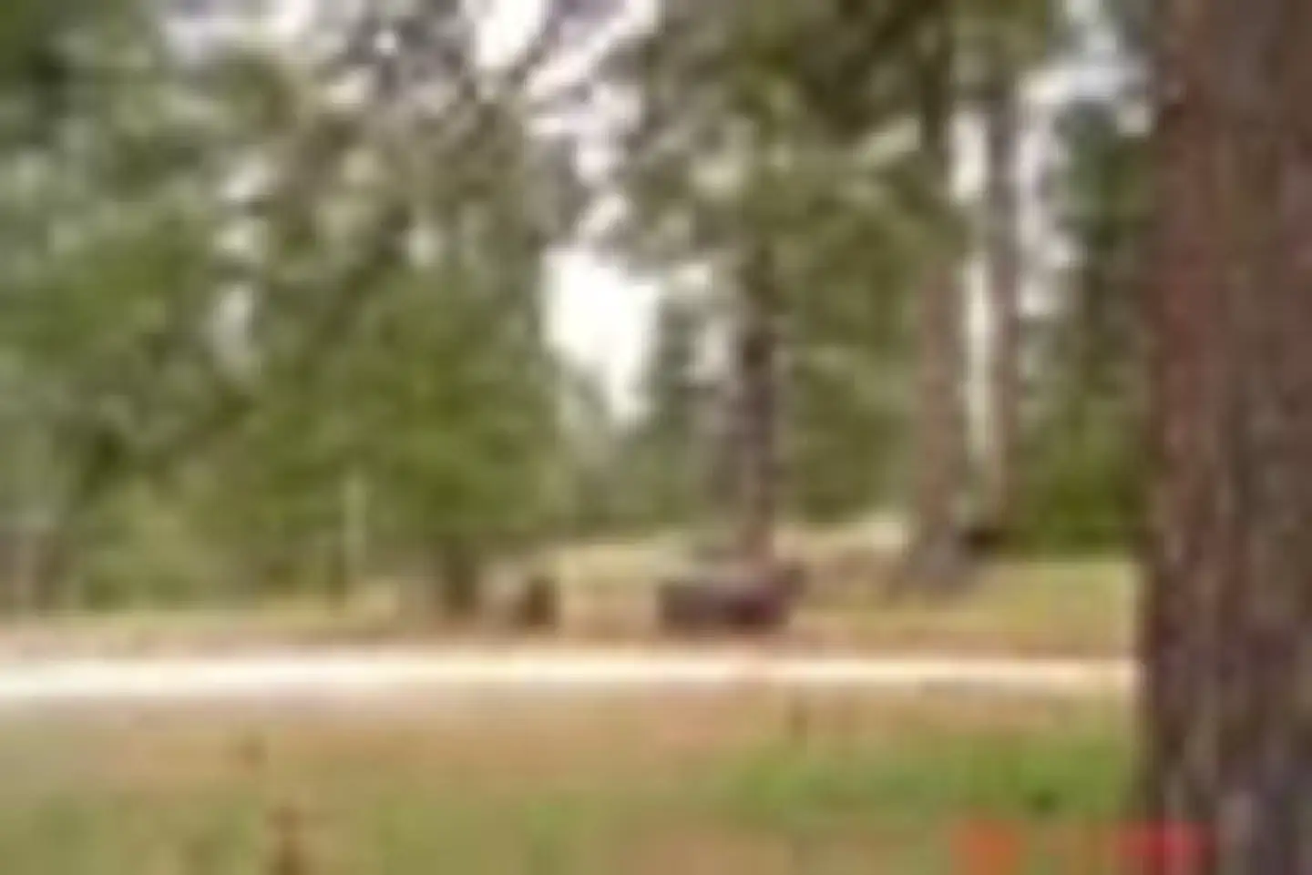 Lightning Point Group Campground — LIGHTNING POINT GROUP CAMPGROUND