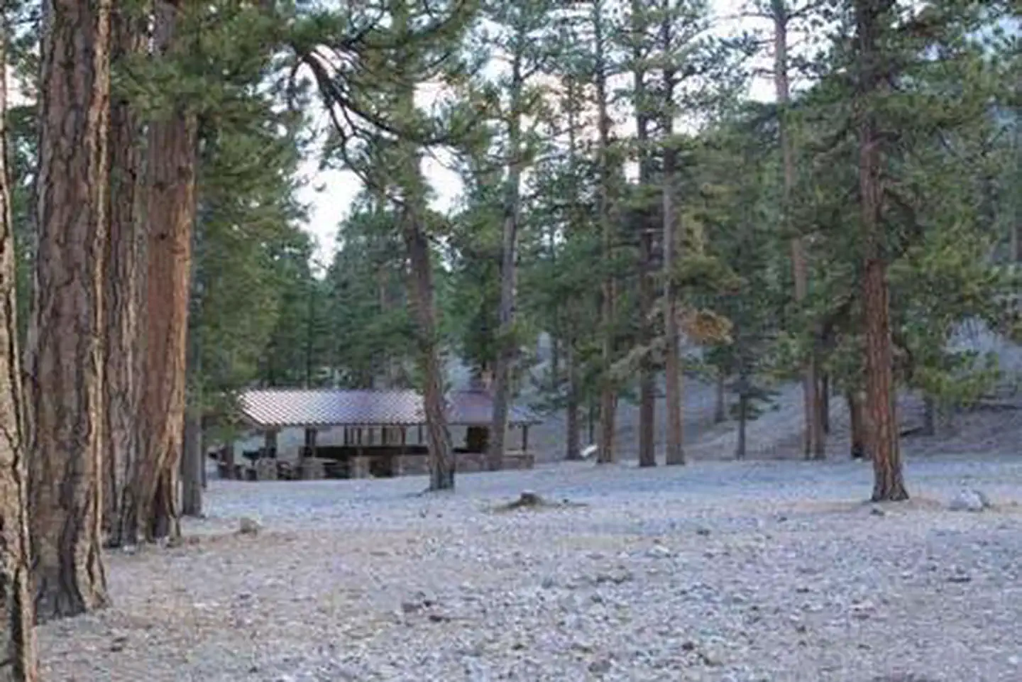 Foxtail Grp Picnic Area