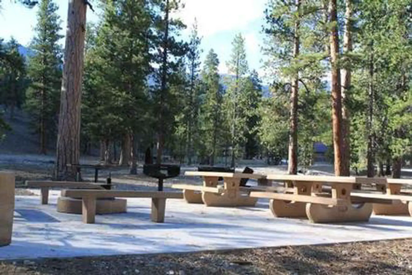 Foxtail Grp Picnic Area — FOXTAIL GRP PICNIC AREA