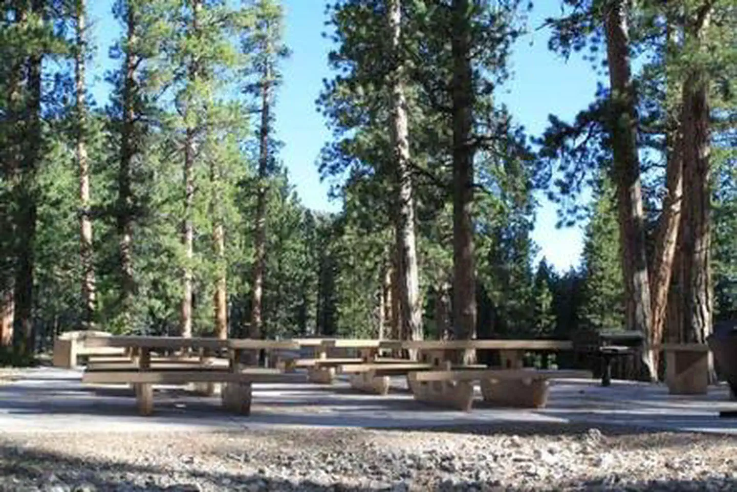 Foxtail Grp Picnic Area — FOXTAIL GRP PICNIC AREA