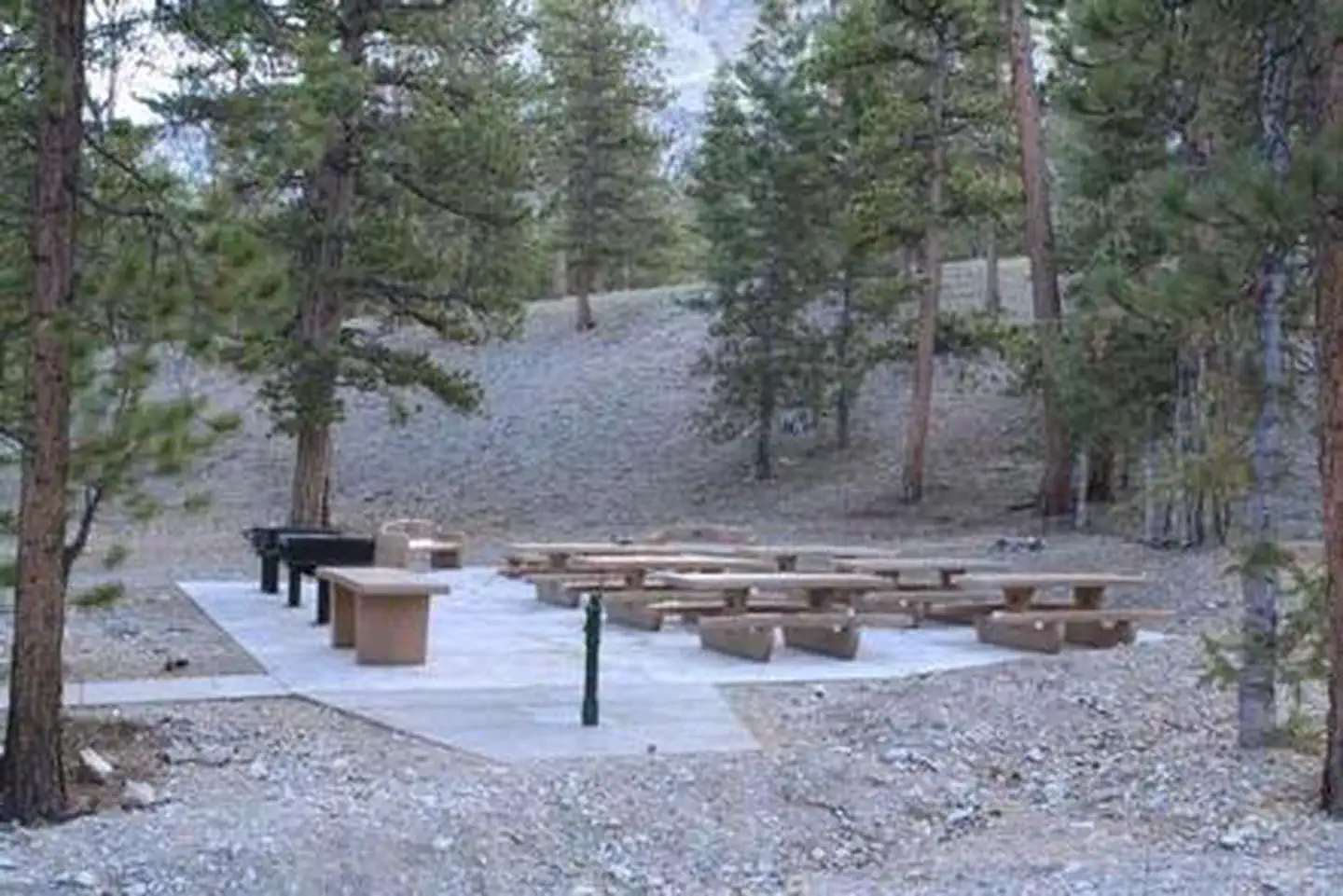 Foxtail Grp Picnic Area — FOXTAIL GRP PICNIC AREA
