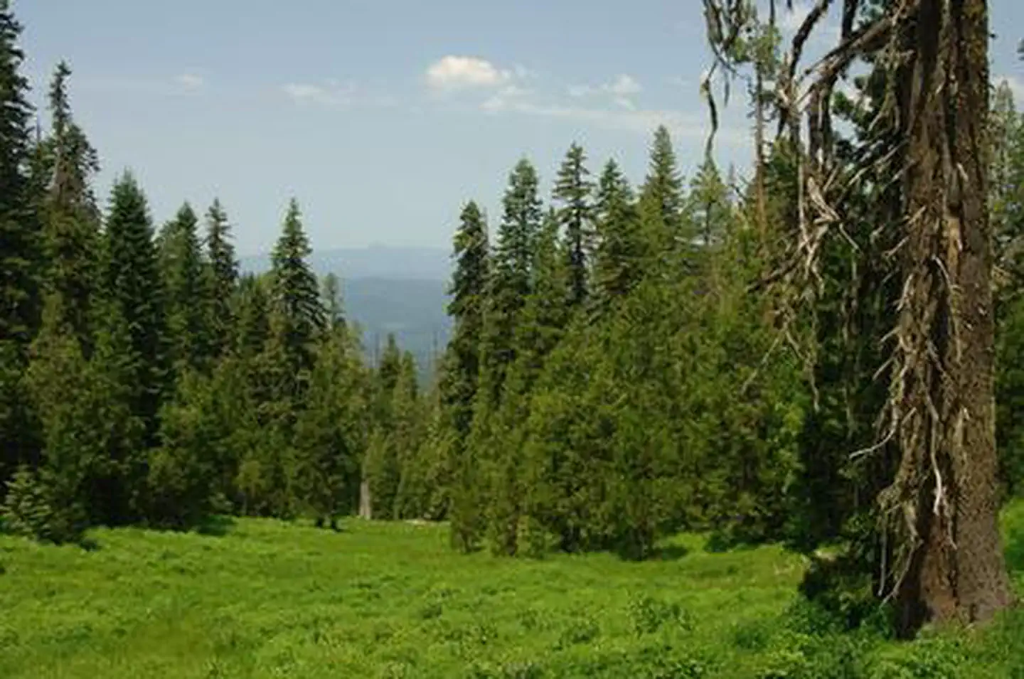 Butler Butte Cabin — BUTLER BUTTE CABIN