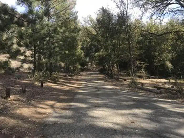 Davy Brown Campground — DAVY BROWN CAMPGROUND