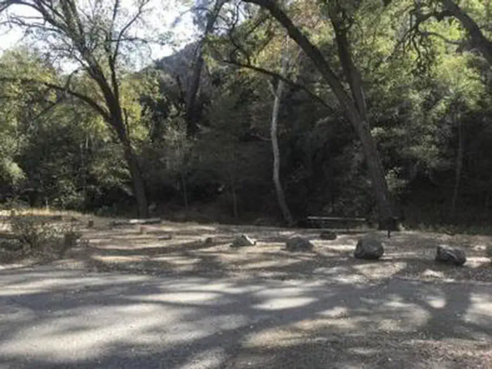 Davy Brown Campground — DAVY BROWN CAMPGROUND
