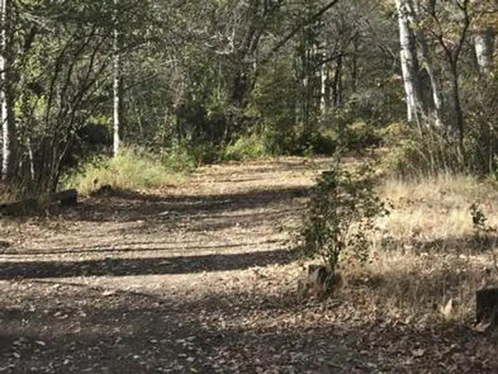 Davy Brown Campground — DAVY BROWN CAMPGROUND