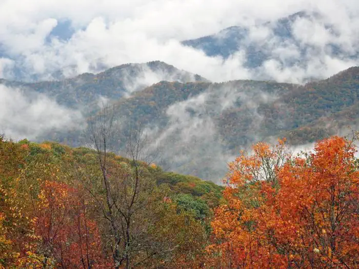 Tow String Horse Camp — Fall Colors on Great Smoky Mountains peaks