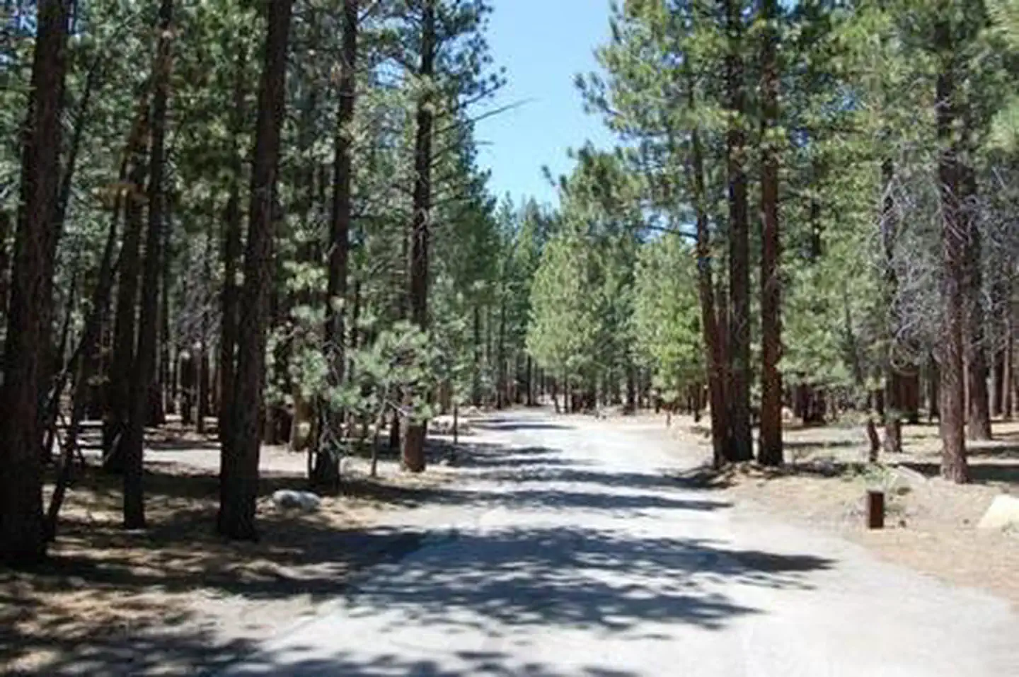 Old Shady Rest Campground — OLD SHADY REST CAMPGROUND