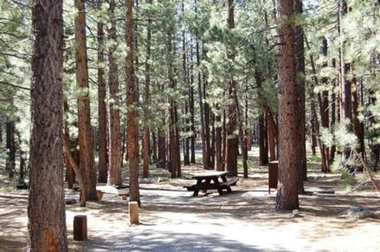 Old Shady Rest Campground — OLD SHADY REST CAMPGROUND