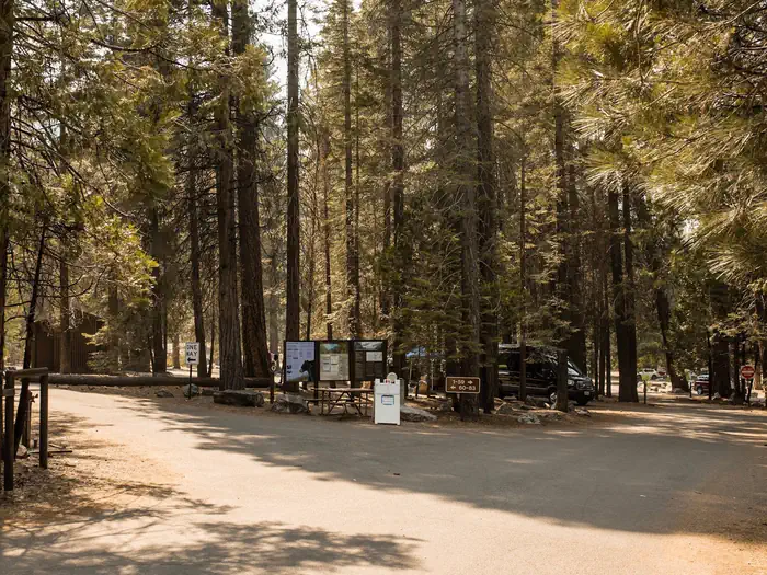 Sentinel Campground — Sentinel Campground