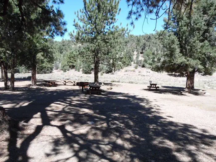 Juniper Springs Group Campground — Juniper Springs Group