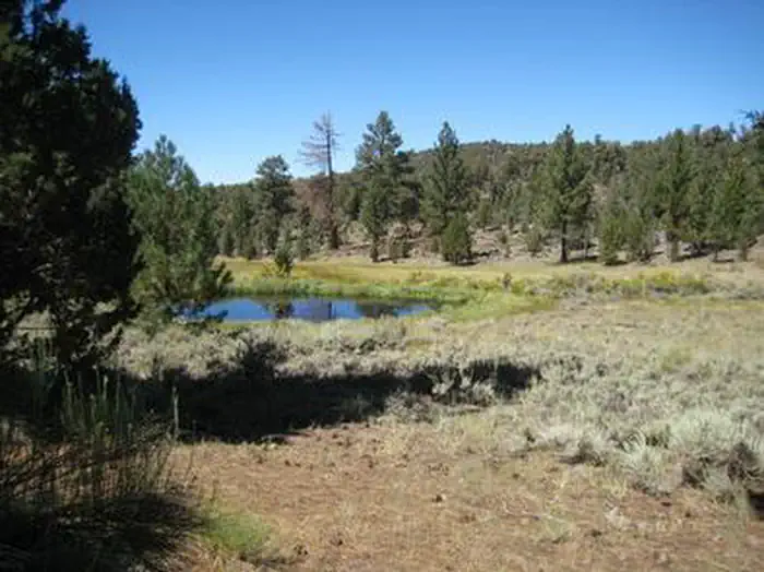 Juniper Springs Group Campground — View from Juniper Springs Group Campground