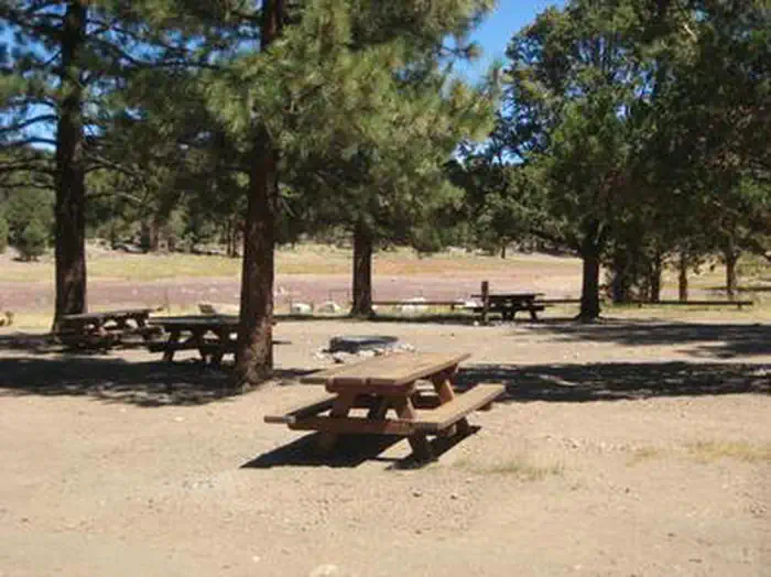 Juniper Springs Group Campground — Juniper Springs Group Campground picnic tables