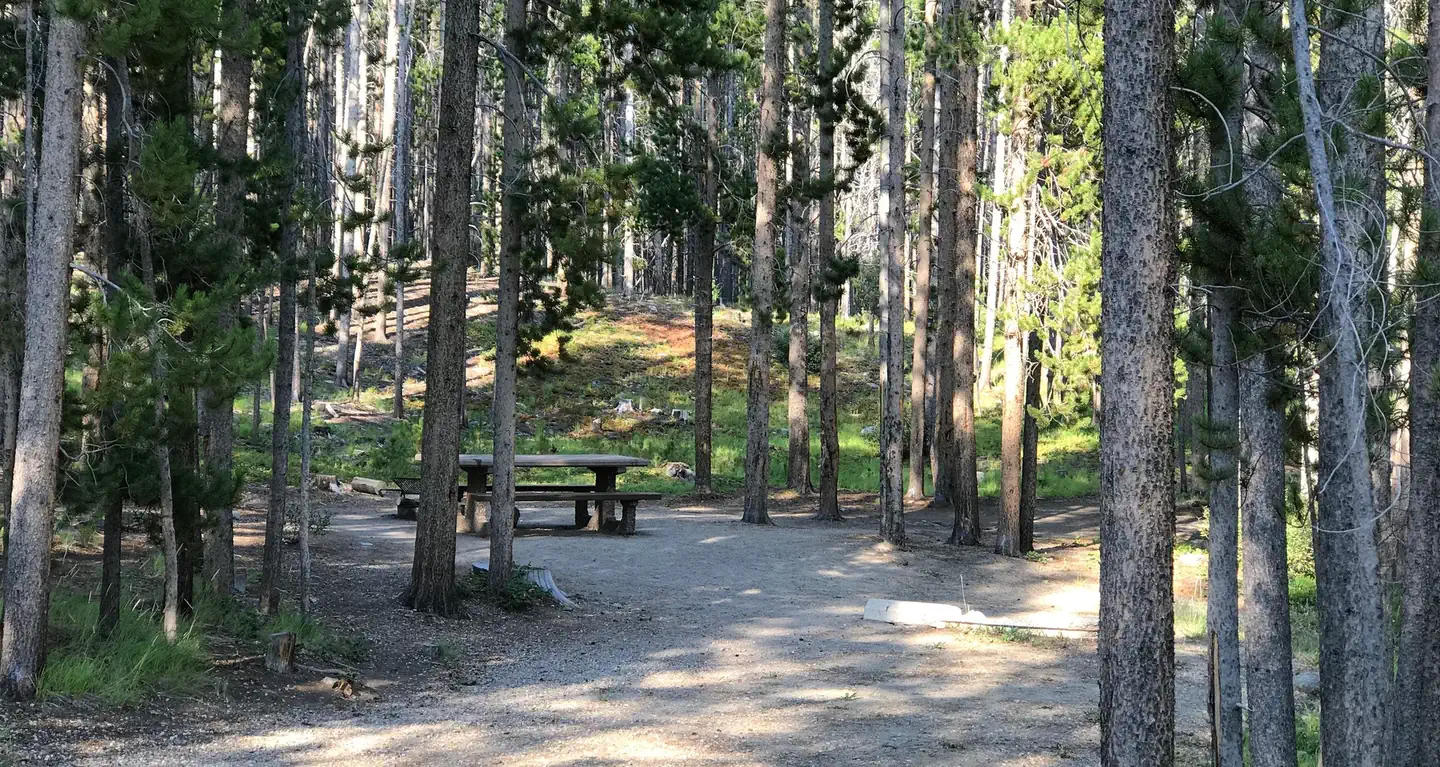 Spring Hill Campground — picnic table in campsite in wooded area