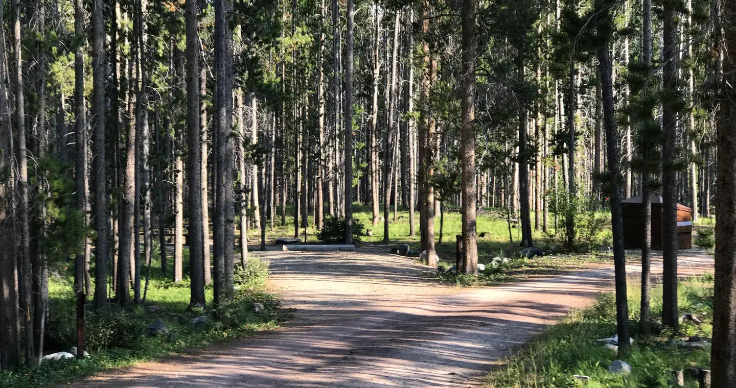 Spring Hill Campground — Campsite in wooded area