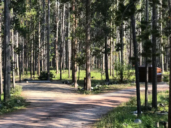Spring Hill Campground — campsite in wooded area