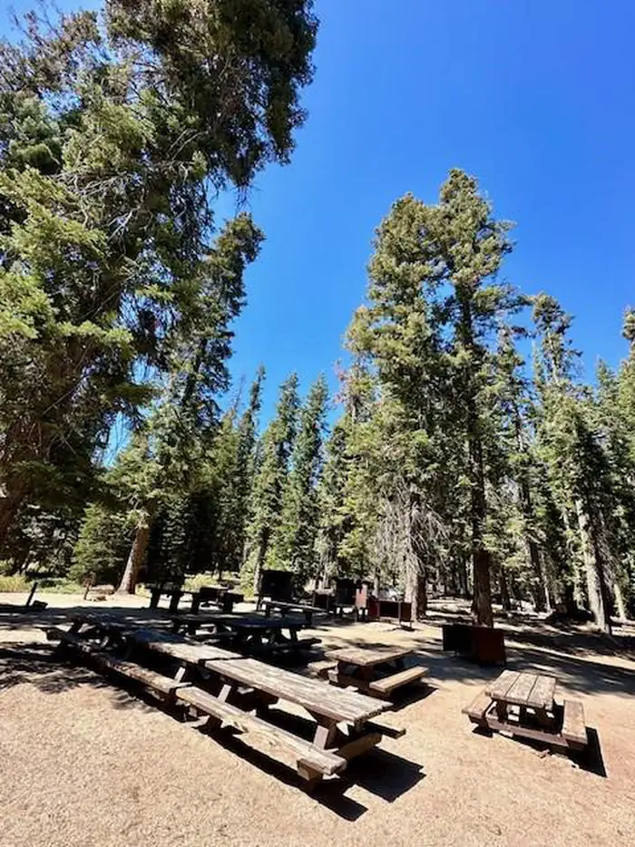 Fir Group Campground — Fir Group Campground/3
