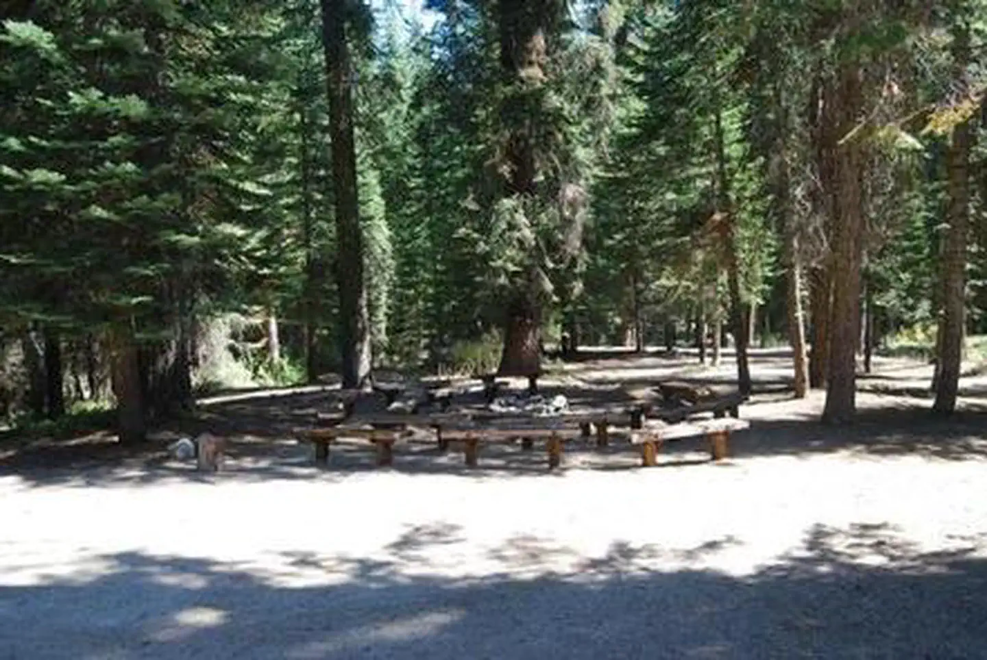 Fir Group Campground — FIR GROUP