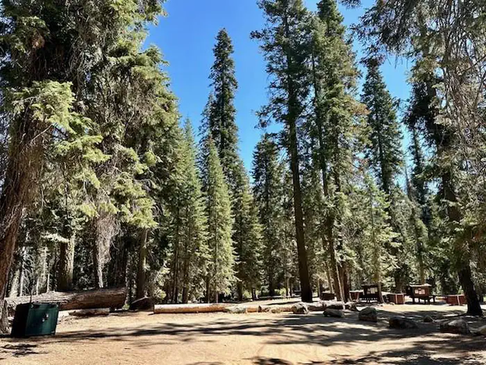 Fir Group Campground — Fir Group Campground/4
