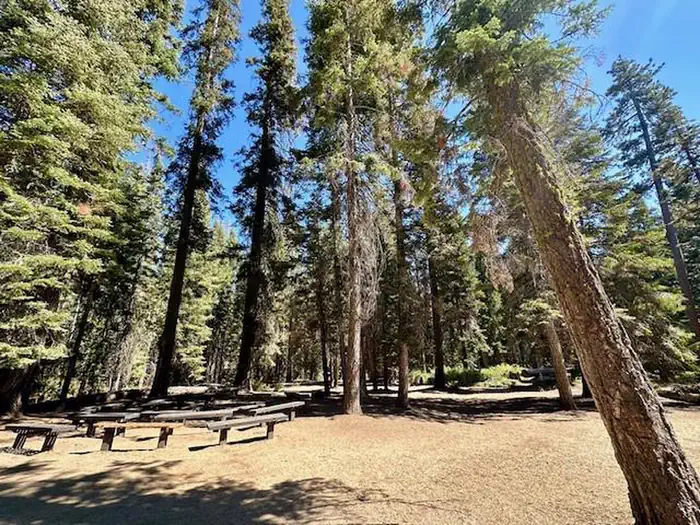 Fir Group Campground — Fir Group Campground
