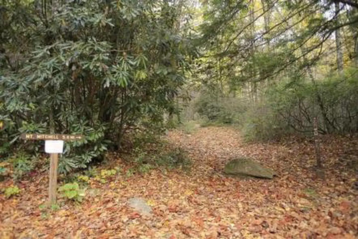 Briar Bottom Group Campground — BRIAR BOTTOM GROUP CAMPGROUND 1