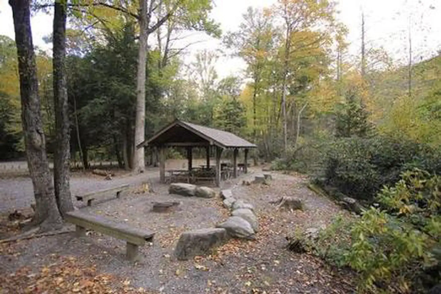 Briar Bottom Group Campground — BRIAR BOTTOM GROUP CAMPGROUND 4