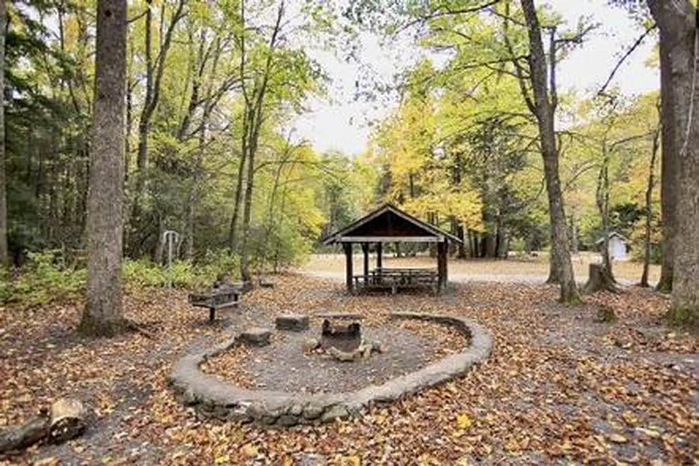 Briar Bottom Group Campground — BRIAR BOTTOM GROUP CAMPGROUND 6