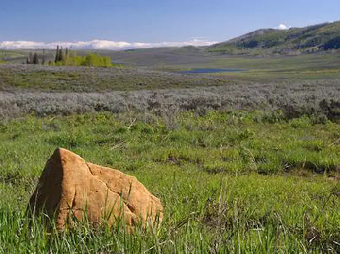 Gooseberry Creek Campground — Gooseberry Group Campground Field
