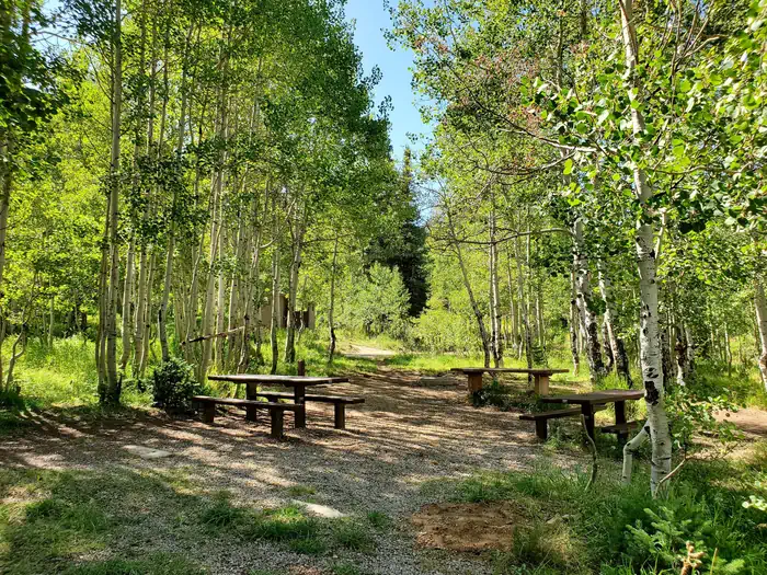 Gooseberry Creek Campground — Gooseberry Group Campground Site #3