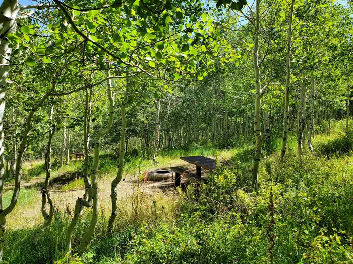 Gooseberry Creek Campground — Gooseberry Group Campground Site #6a