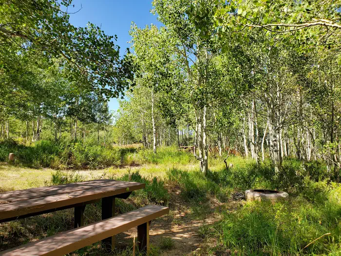 Gooseberry Creek Campground — Gooseberry Group Campground Site #8a