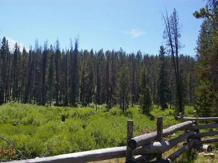 Sheep Trail Campground — SHEEP TRAIL CAMPGROUND
