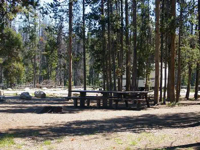 Sheep Trail Campground — SHEEP TRAIL CAMPGROUND