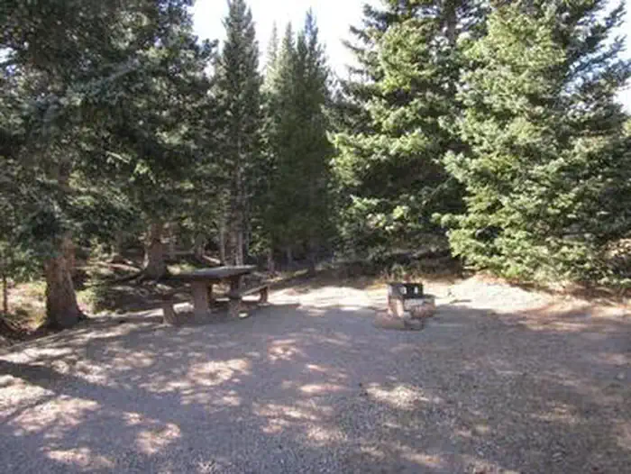 Bear Lake Campground (co) — BEAR LAKE CAMPGROUND (CO)