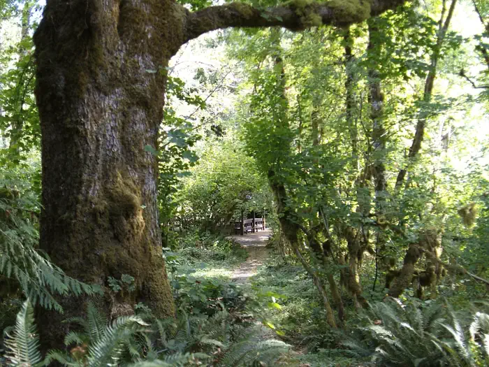Clay Creek Recreation Site — one of Clay Creek's shelters to rent