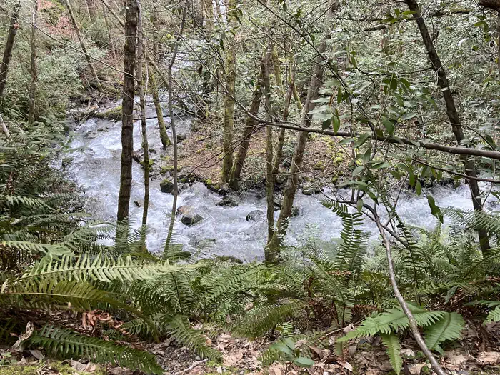 Pearch Creek Campground — Pearch Creek February 11, 2025