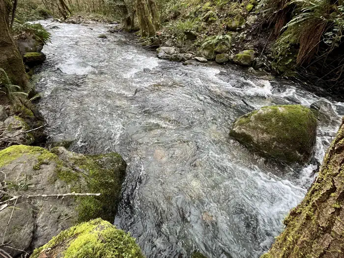 Pearch Creek Campground — Pearch Creek February 2025