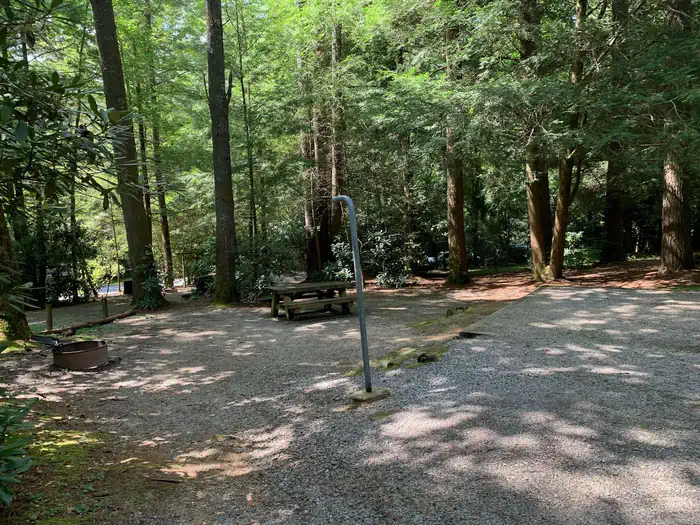Van Hook Glade — Van Hook Glade Campground 2