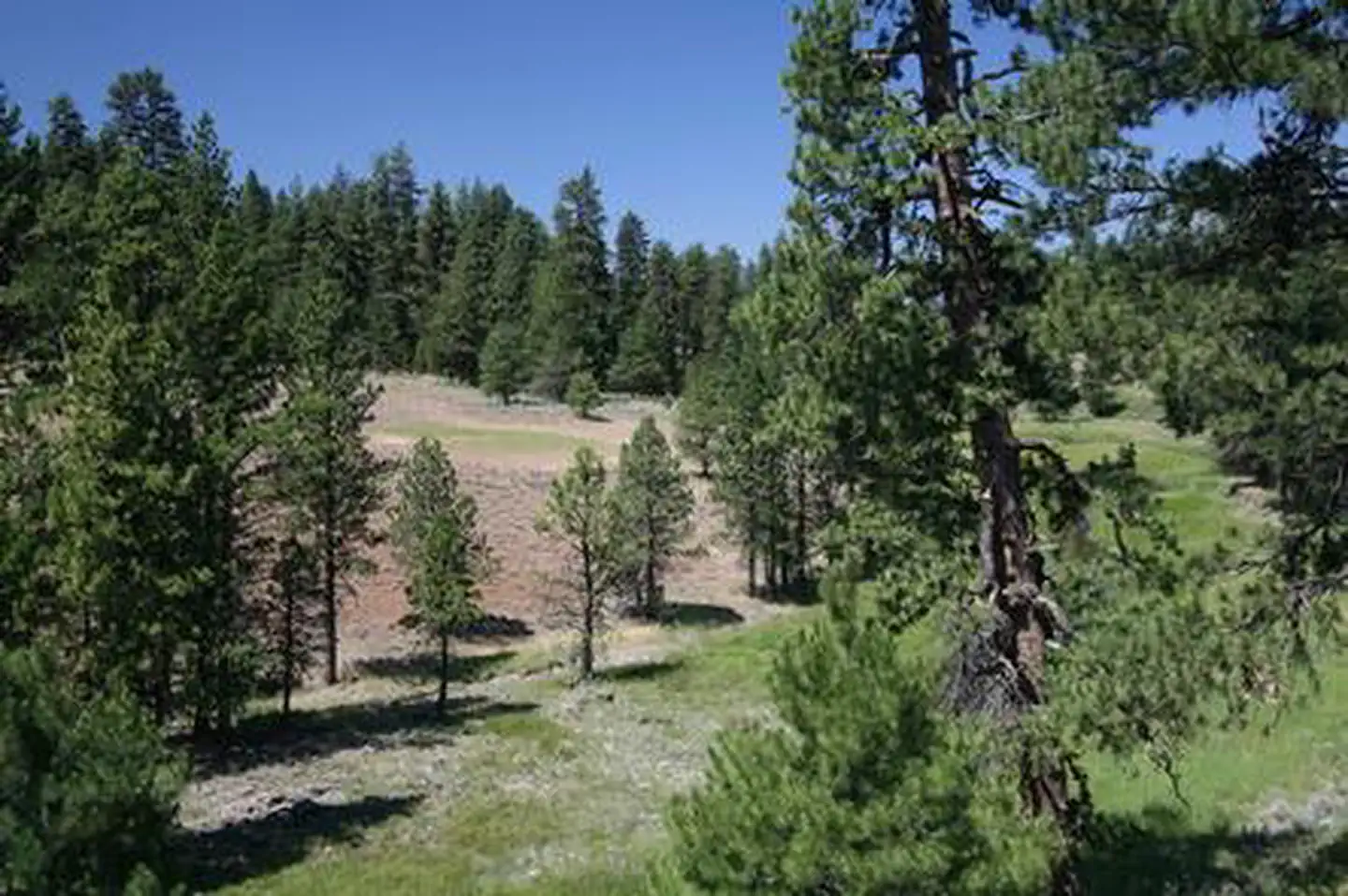 Cold Springs Cabin - Ochoco Nf (or) β COLD SPRINGS CABIN