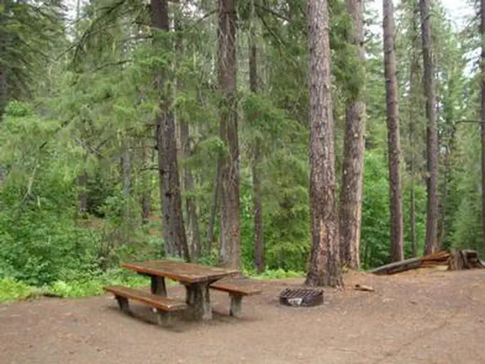 Grouse Creek Group Site — GROUSE CREEK GROUP SITE