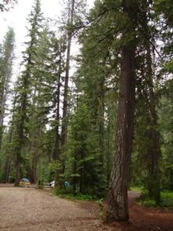 Grouse Creek Group Site — GROUSE CREEK GROUP SITE
