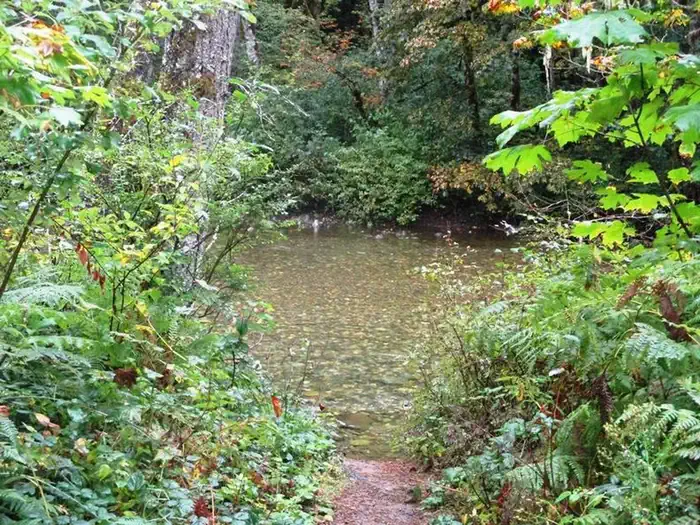 Beckler River Campground — Beckler River Campground