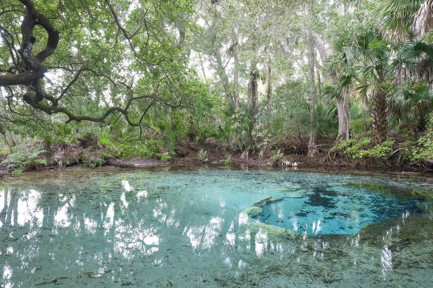 Sweetwater Cabin — A private spring