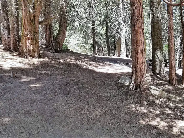 Holey Meadow Campground — Holey Meadow