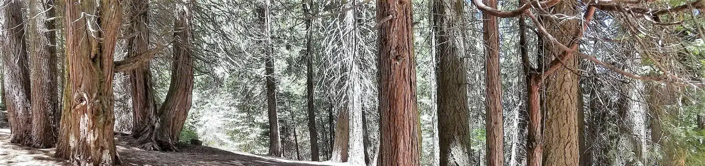 Holey Meadow Campground